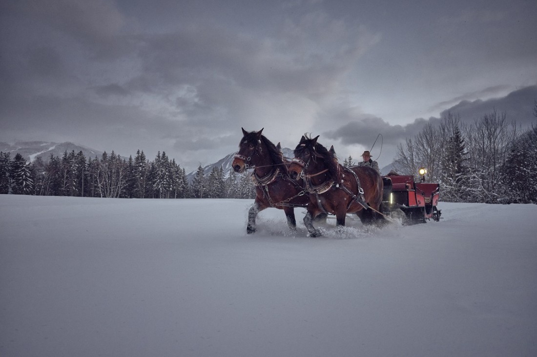 Pferdeschlittenfahrten in Ramsau (c) Schlaming Appartements