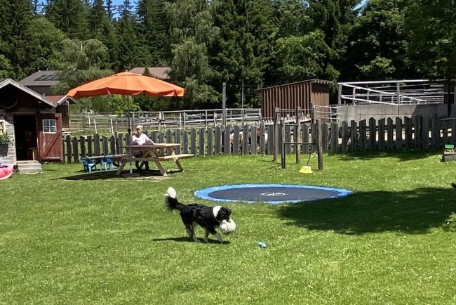 Jede Menge Platz zum Spielen im Vorberghof