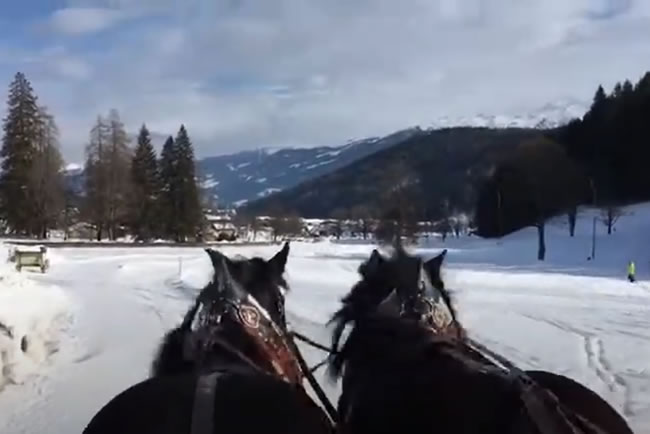 Video Pferdeschlittenfahrt beim Vorberghof in Ramsau am Dachstein